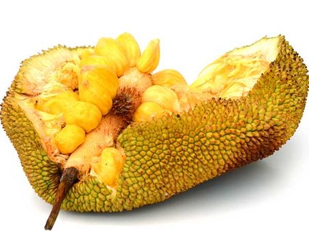 2. Is Rich In Saponins: