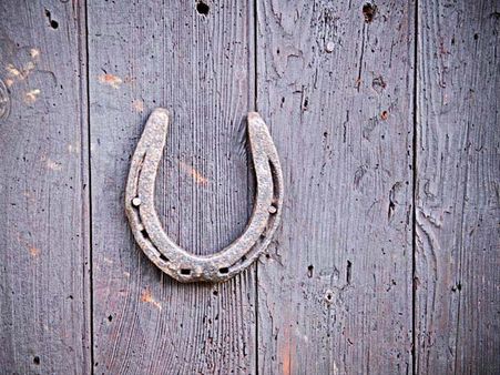 Horse Shoe