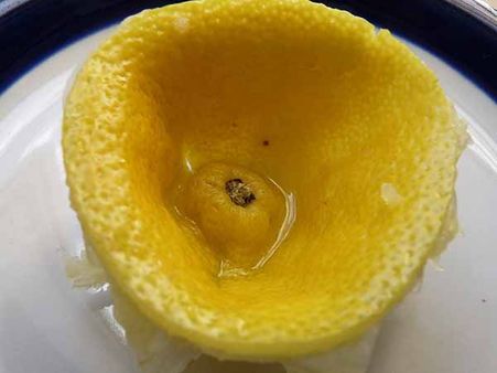 A Lemon Diaphragm!