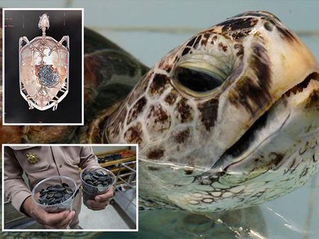 She Could Barely Swim…