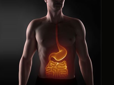 2. Improves Digestion 2. Improves Digestion