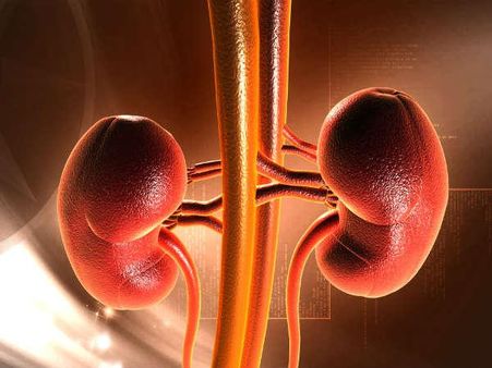 6. Detoxifies The Kidneys 6. Detoxifies The Kidneys