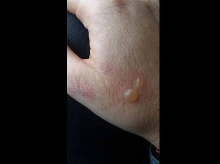 Rules That Need To Be Followed 