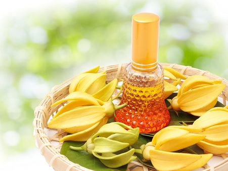 5. Ylang Ylang Essential Oil