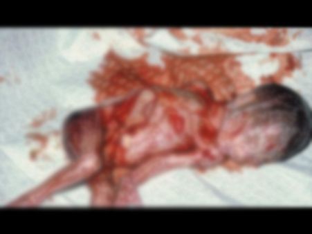 She Further Added… She Further Added…