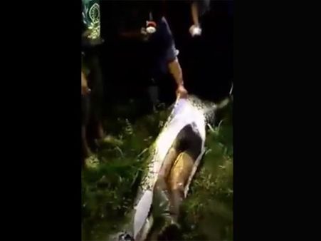 The Man Was Akbar Salubiro