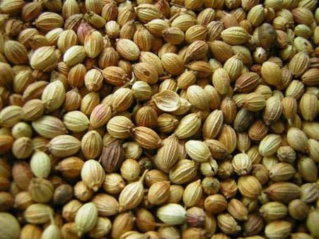 10. Coriander Seeds: