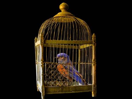 Most Of The Time, We Do Not Have The Right Information