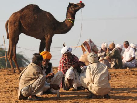 Agricultural Communities Practice Polyandry More…