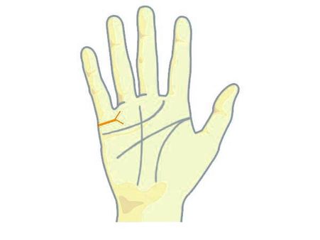 If The Line Is Forked The Other Way… If The Line Is Forked The Other Way…