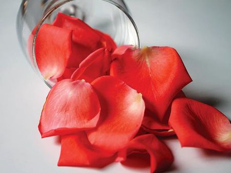 8. Rose And Cucumber Mist