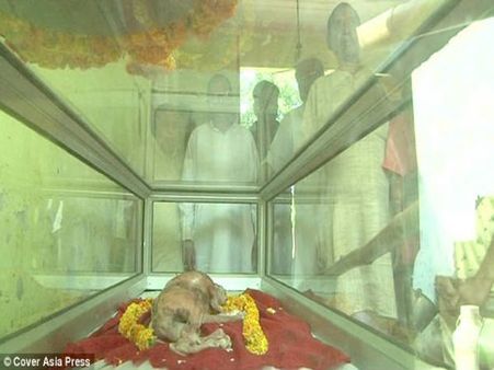 This Happens Only In India!