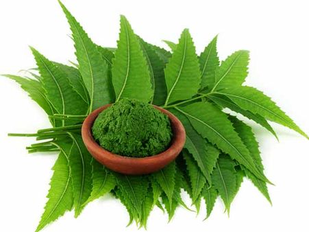 Neem: