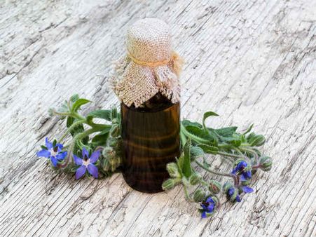 10. Borage Seed Oil: