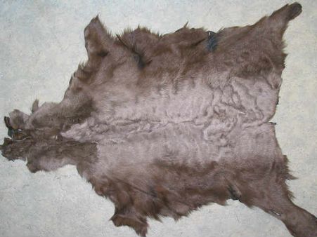 Animal Fur