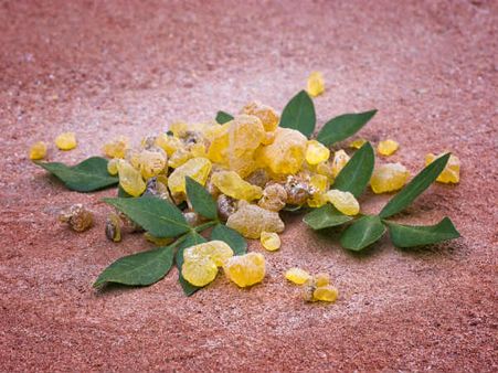 1. Boswellia: 1. Boswellia: