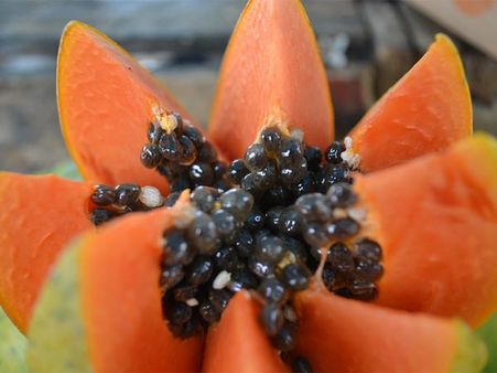 Papaya