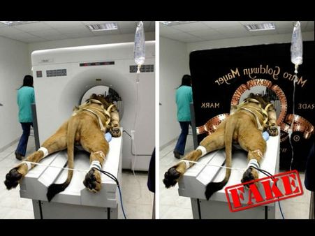 The Famous Metro Goldwyn Mayer Roaring Lion Scene!