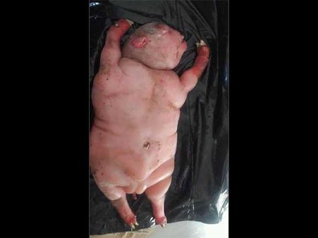 Villagers Got A Shock Of Their Life!