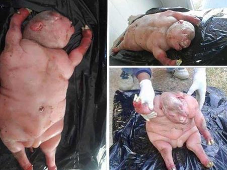 Why Would Such A Deformed Creature Even Be Born?