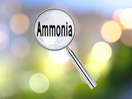 Ammonia - The Toxin: 