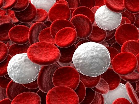 What Is Hemoglobin? What Is Hemoglobin?