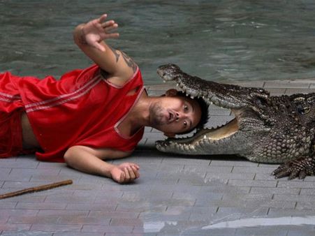 People Can Visit These Farms!