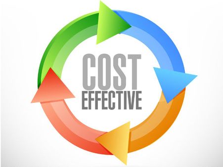 Organic Beauty Products Are Cost-effective: 