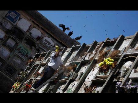 The Bodies Are Stuffed Into Plastic Bags…