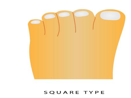 The Square Foot!