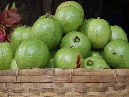 Guava