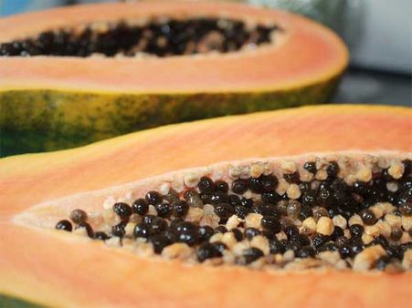 Papaya
