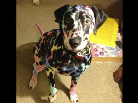 When The Kid Decides To Play With Colours!