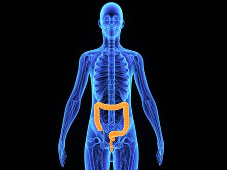 Short-chain Fatty Acids