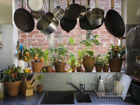 Start A Kitchen Garden