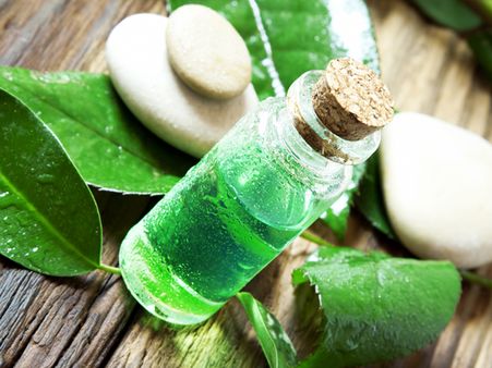 Tea Tree Oil Tea Tree Oil
