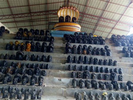The Poor And The Financially Unstable Should Worship The Snakes On Naga Panchami: 