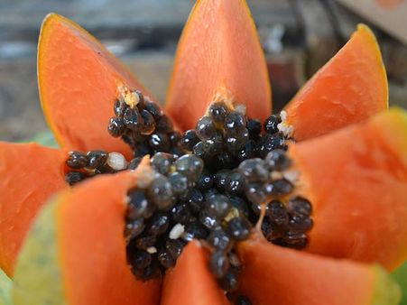 Sliced Papaya Sliced Papaya