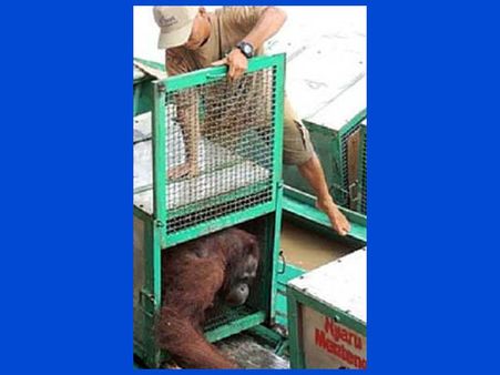 It Took 10 Long Years After That…