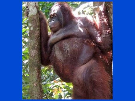 She Was Being Made To Look More Appealing...