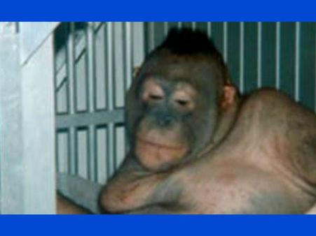 It Was A Great Way Of Making Money!