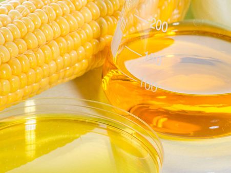 High Fructose Corn Syrup
