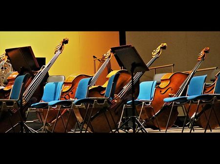 The Double Bass (Contd.) The Double Bass (Contd.)