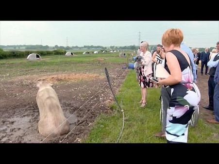 He Wanted A Different Style Of Wedding!