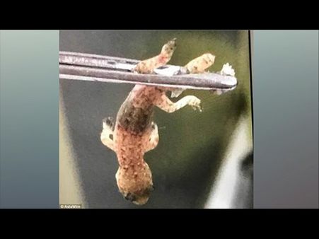 He Got The Shock Of His Life… He Got The Shock Of His Life…