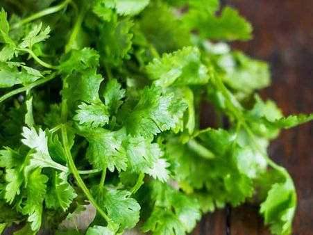 3. Cilantro And Parsley: