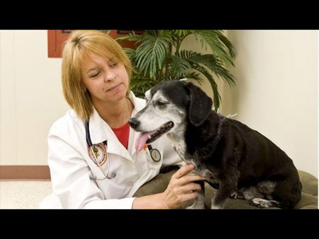 Many Claim It Works... Many Claim It Works...