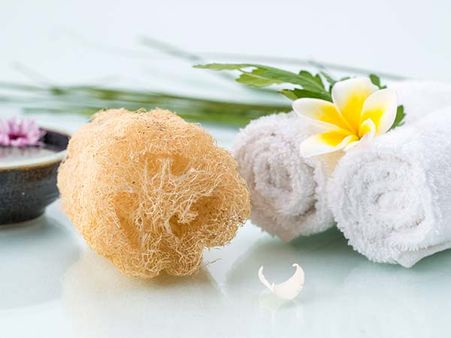 Loofah