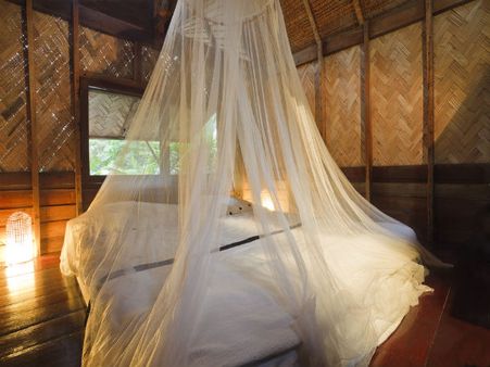 2) Using Mosquito Nets