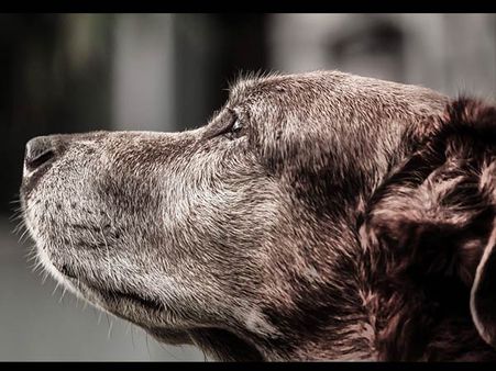 He Confessed To His Crime…